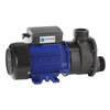 Whirlpool (Jacuzzi) Pumps